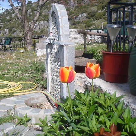 Terpsichori Guesthouse Kapesovo Екстер'єр фото