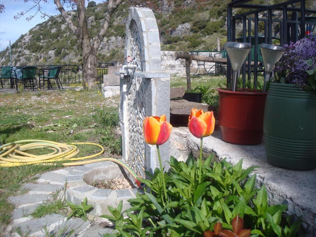 Terpsichori Guesthouse Kapesovo Екстер'єр фото